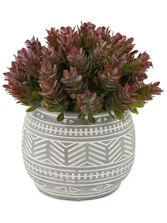 This beautiful Purple Sedum with Grey Pot is the best way to ensure that you can inject your personality into your home and make everything look like a reflection of who you are. 