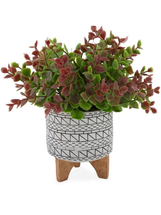 This beautiful Red Green Sedum with White & Black Pot is the best way to ensure that you can inject your personality into your home and make everything look like a reflection of who you are. 