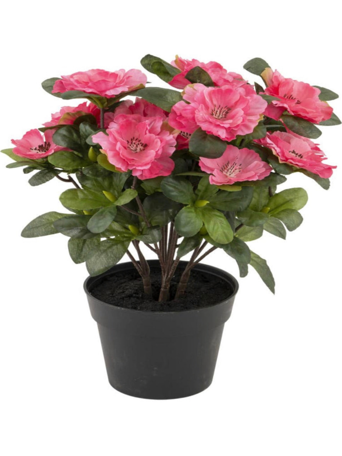 Magenta Belgium Azalea Faux Plant. Home Decoration items are the best way to ensure that you can inject your personality into your home and make everything look like a reflection of who you are. 