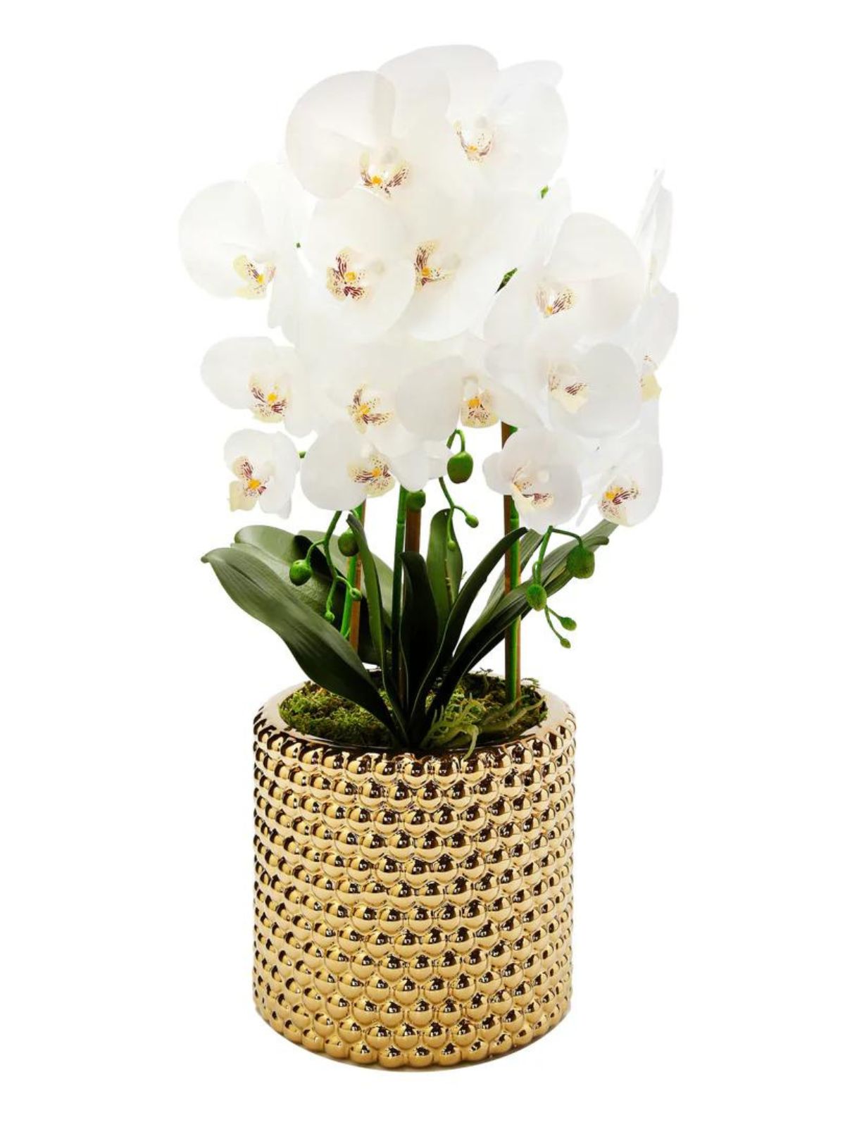 White Faux Orchid Plant with Green Leaves in Gold Hammered Pot - KYA Home Decor.