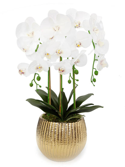 White Silk Orchid Floral Arrangement in Round Ridged Gold Porcelain Vase - KYA Home Decor.