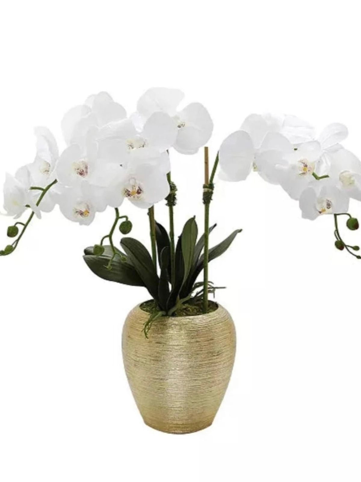 White Silk Orchid Floral Arrangement in Tall Gold Porcelain Vase - KYA Home Decor.