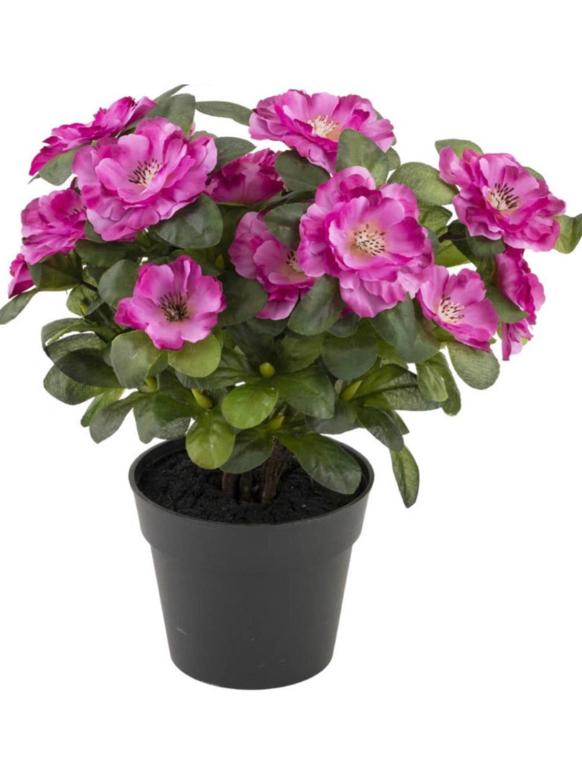 Beauty Belgium Azalea Faux Plant. Home Decoration items are the best way to ensure that you can inject your personality into your home and make everything look like a reflection of who you are.