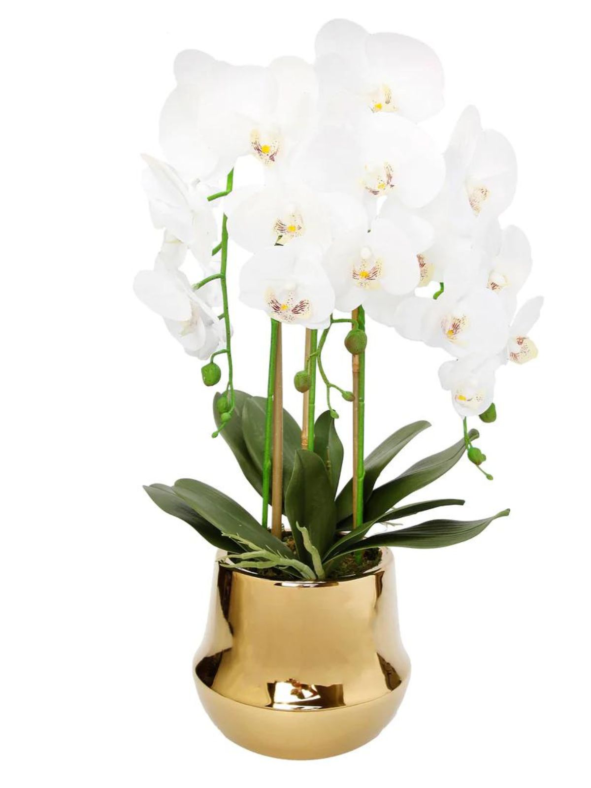 The Ayra Vase features three stalks of white faux Orchids. This flower arrangement is chic and attractive. With a stunning gold hammered base makes any decor classy and alluring.