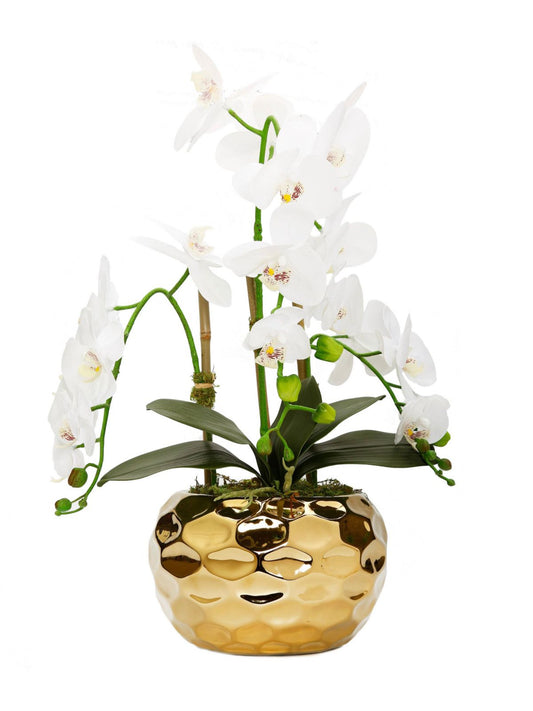 White Silk Orchid Floral Arrangement in Gold Hammered Porcelain Vase - KYA Home Decor.