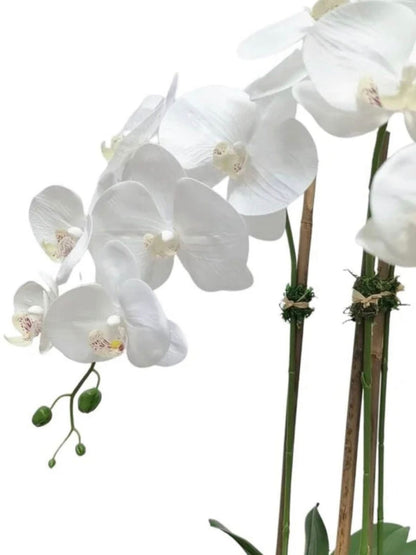 3 Stemmed White Silk Orchid Plant in Round Hammered Vase