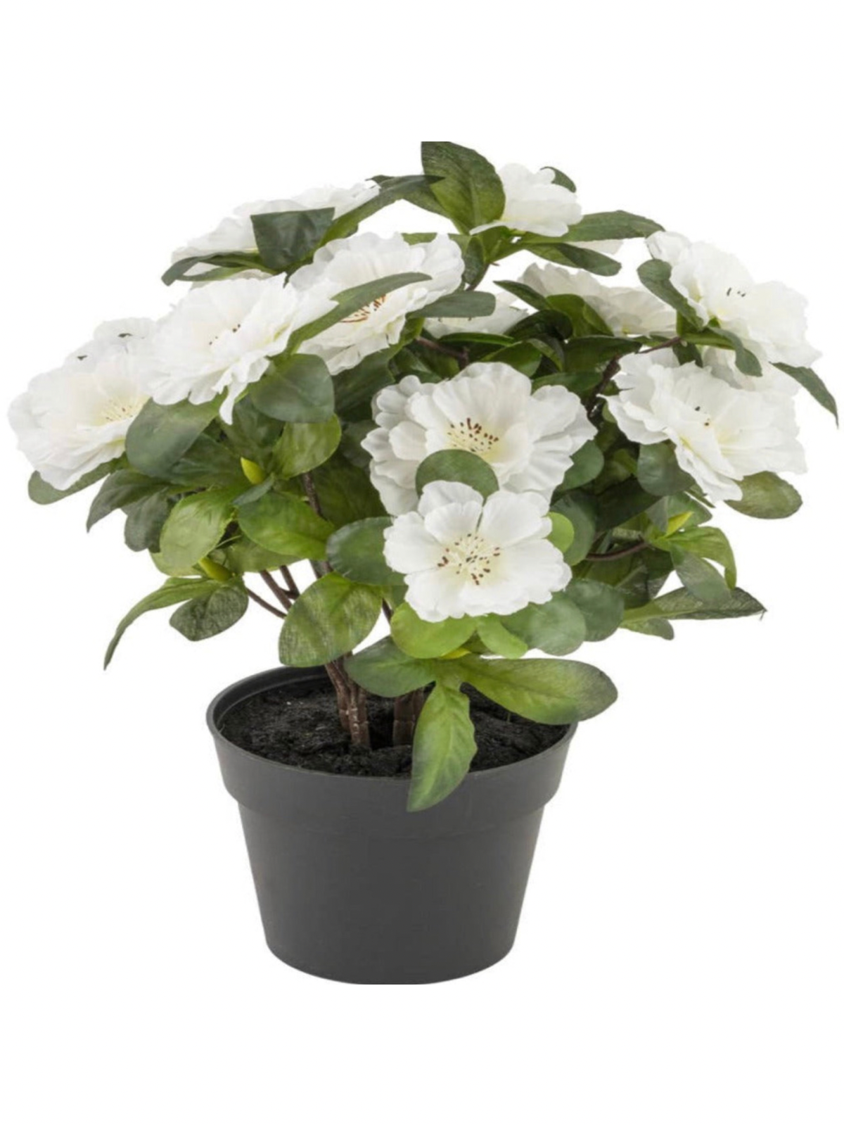 Cream Belgium Azalea Faux Plant. Home Decoration items are the best way to ensure that you can inject your personality into your home and make everything look like a reflection of who you are.