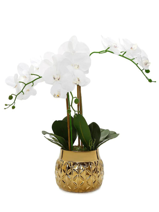 White Silk Faux Orchid Arrangement in Round Porcelain Hexagon Design Gold Vase - KYA Home Decor